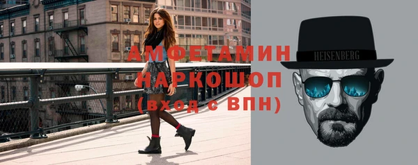 хмурый Верея
