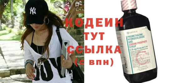 хмурый Верея