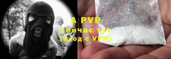 хмурый Верея