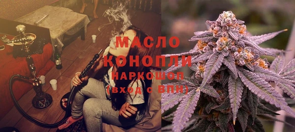 хмурый Верея