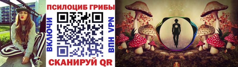 Купить закладки  Асбест  Галлюциногенные грибы Cubensis 